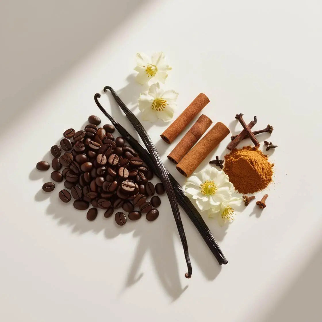 INSPIRED BY INTENSE CAFE - U2M Mijn winkel